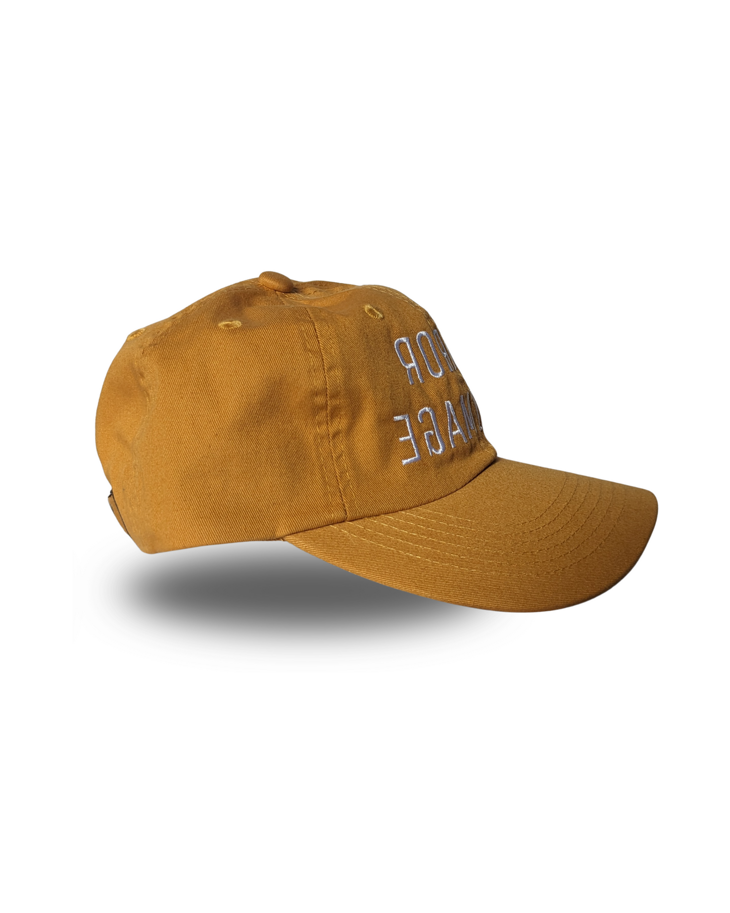 "Mirror His Image" Hat